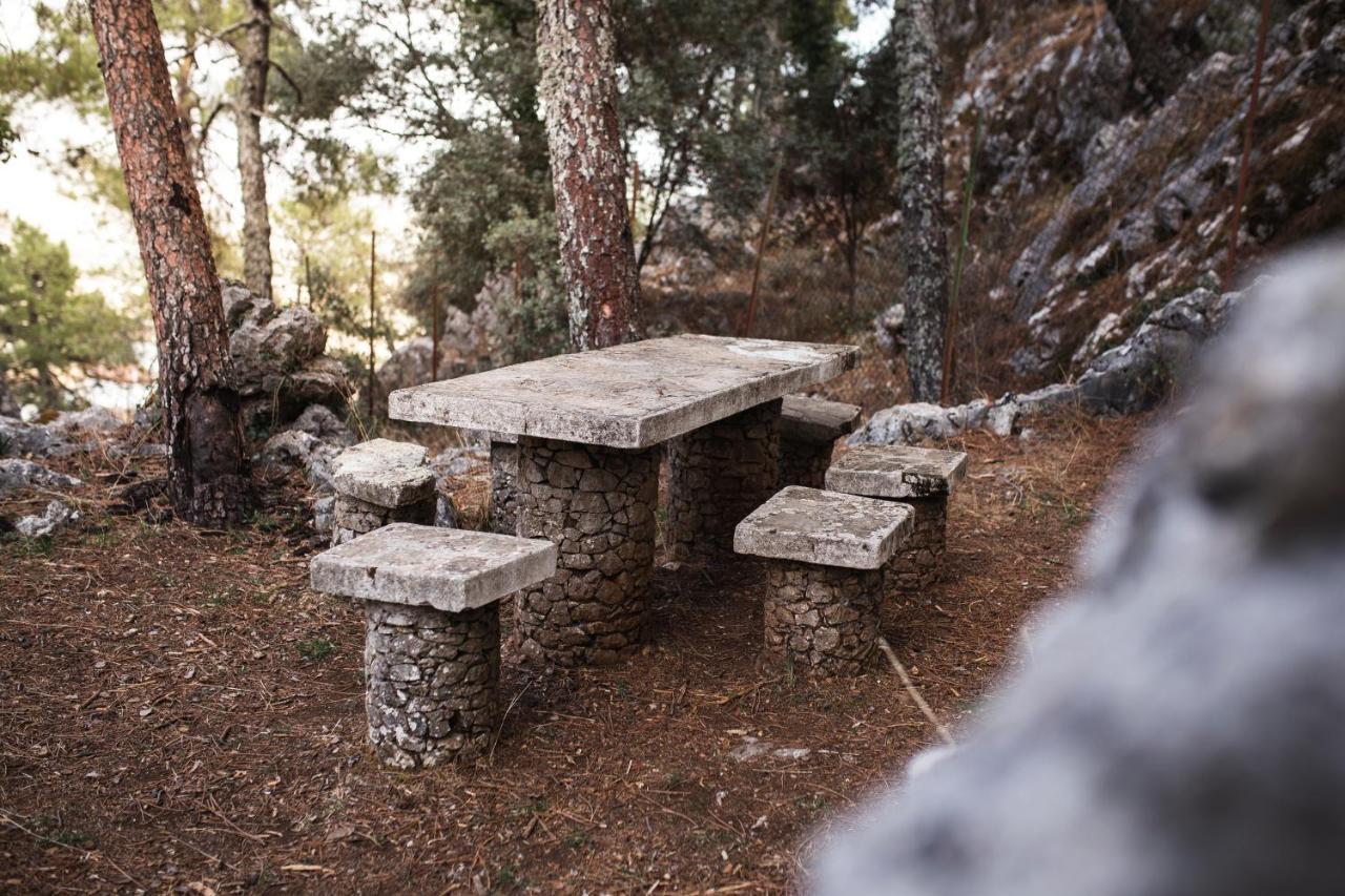 Camping Tajorodillo Grazalema Zewnętrze zdjęcie