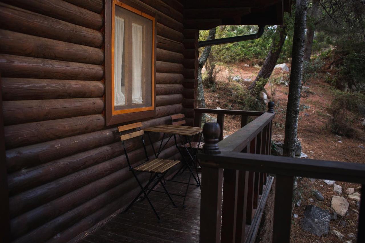 Camping Tajorodillo Grazalema Zewnętrze zdjęcie